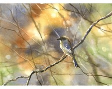 Bluebird sitting on  branch colorful watercolor landscape bird decor (original) picture