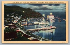 Santa Catalina Island Night Avalon Bay City Ships Boats Lights Postcard Vtg E5 picture