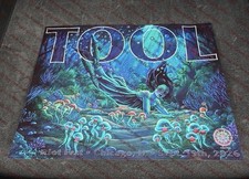 Tool Poster 9/19 2026 Riot Fest Chicago Illinois Douglass Park #760 Lori Nelson picture
