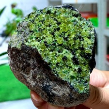 1.1LB Natural and rare beautiful museum grade olive green olivine crystal picture