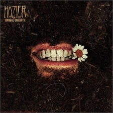 Hozier - Unreal Unearth (CD) *SEE DEAL* picture