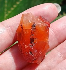 16g Natural Raw Carnelian Agate Freeform Nugget picture