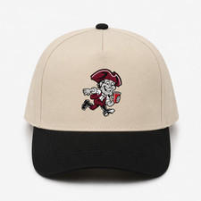 UMass Minutemen College Party Hat Embroidered Snapback picture