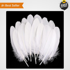 120Pcs White Goose Feathers Natural Bulk 6-8 Inch 15-20Cm for Crafts picture