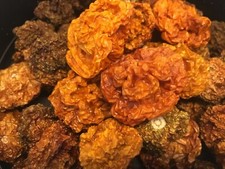 WHOLE DRIED SCOTCH BONNET AND/OR GHOST(BHUT JOLOKIA) PEPPERS ORGANICALLY GROWN picture