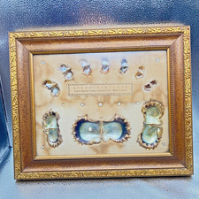 Vintage Mikimoto Pearl Island Akoya Oyster Growth Specimen Display Framed Japan picture