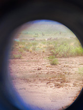 Oryx Hunt Rifle nm free range picture