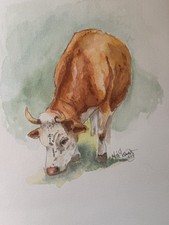 OOAK Origional watercolor painting of a Cow signed by artist Edith Schmidt picture