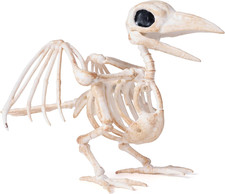 Crow Skeleton Halloween Decoration 6.89 Inch Animal Skeleton Plastic Bones for Y picture