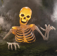 4 Ft Light-Up Skeleton Halloween Decoration, Groundbreaker Spooky Prop picture