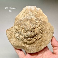 A31  Ancient Chinese tile-end with beast pattern of Tang Dynasty 唐代兽面瓦当 picture