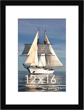 12x16 Picture Frame Black, Display Pictures 8.5x11 with Mat or 12x16 Without Mat picture
