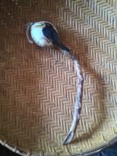 **AWESOME  NATIVE AMERICAN PRIMITIVE  SHAMAN PRAYER RATTLE HTF  NICE** picture