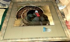 An Extreamly Rare, Hard to find Limited Edition Certified Proof, Signed. #14/25 picture