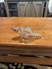 vintage Avon clear glass conch or whelk seashell bottle picture