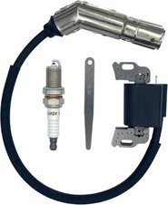 Ignition Coil OEM 595304 799650 795315 for Briggs and Stratton 17.5HP John Deere picture