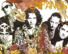 *  CAIFANES * signed 8x10 photo * SAUL, ALFONSO & DIEGO * COA * picture