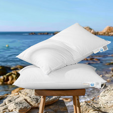 Canadian Luxury Goose down Pillow Queen Size - 900 Fill Power | 100% Cotton with picture