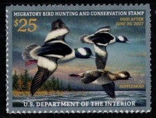 #RW93  2026 -2027 Federal Duck Stamp -  Three Buffleheads - MNH picture