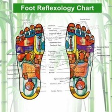 50pcs Detox Foot Patches Pads Body Toxins Feet Slimming Deep Cleansing Herbal picture
