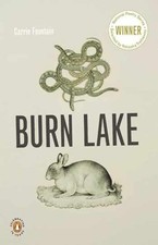 Burn Lake (Penguin Poets) - Paperback, by Fountain Carrie - Very Good picture