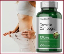 250 Pastillas naturales para adelgazar perder peso y quemar grasa durmiendo picture