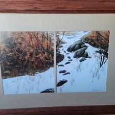 Bev Doolittle 