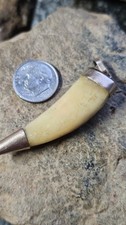 Victorian Lions Tooth Style Pendant.  Antique Great Condition  picture