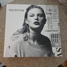 Taylor Swift Reputation Stadium Concert Tour VIP Box picture