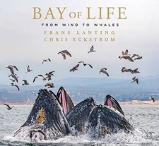 Bay of Life: From Wind to Whales in Publisher Wrap Brand New picture