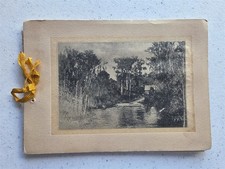 Oklawaha River Florida Antique 1892 Book Portfolio of Photos, 24 Photogravures picture
