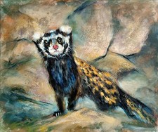 Polecat Portrait Original Painting oil on canvas signed hand-painted 20