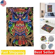 Unique DIY Latch Hook Kit, Adult Colorful Owl Rug, Easy Pre-Printed Canvas Craft picture