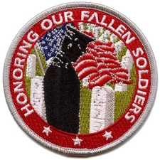 Arlington National Cemetery Patch Honoring Our Fallen Soldiers Embroidered Iron picture