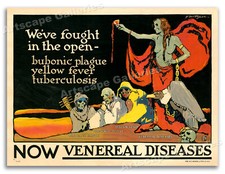 Venereal Diseases  Unusual Vintage Style 1918 World War 1 Poster - 18x24 picture