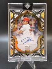 2025 Topps Transcendent - James Wood Auto #TCRSA-JWO Rookie Showcase /25 🔥 picture