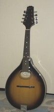 Johnson oval hole mandolin MA-110 picture