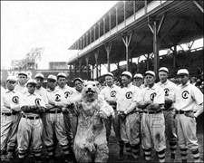 1908 Chicago Cubs Photo 8X10 Mascot World Series Champions picture