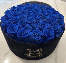 UForever 40 Real Preserved Blue Roses in Suede Box. picture