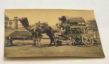 Real Photo RPPC Postcard Camel Cart Covered Wagon Scene Original Unposted Blank picture