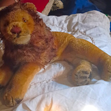 Vintage STEIFF LEO THE LION Laying Down 1950's 15