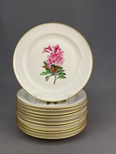 12 Rosenthal Hand-Painted ALPINE FLOWERS 6 1/4