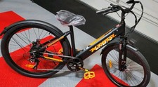 E-bike picture