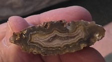 Coyamito Agate Pair light polish picture