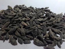 HARITAKI BLACK CHEBULIC MYROBALAN TERMINALIA CHEBULA HARDA -  picture