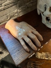 Medical Skeletal Hand Display, Whitehall Laboratories NY, NY - Halloween display picture