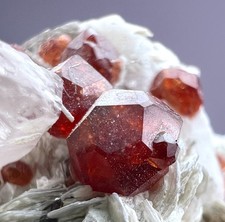 178 CT. Full Terminated Gemmy Orange Garnet Crystals On Albite & Mica - PAK picture
