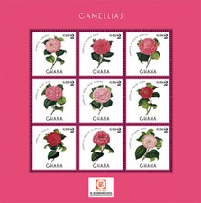 Ghana 2013 - Camellia Flowers - China Expo Sheet of 9 stamps - Scott #2762 - MNH picture