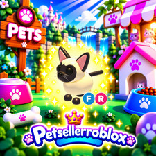 BUY NOW | Siamese Cat | picture