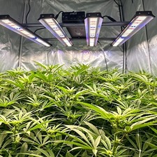BA4000W LED Grow Light 3X3 4X4ft Coverage Full Spectrum for Commercial Grow Room picture